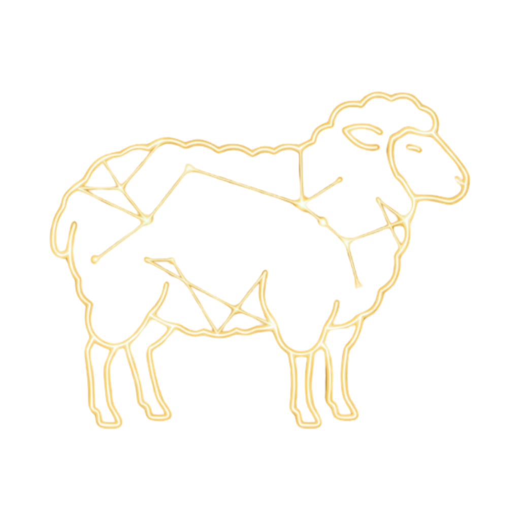 Premium Sheep Selection